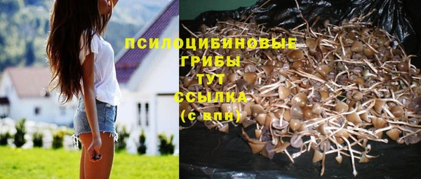 ГАЛЛЮЦИНОГЕННЫЕ ГРИБЫ Алексеевка